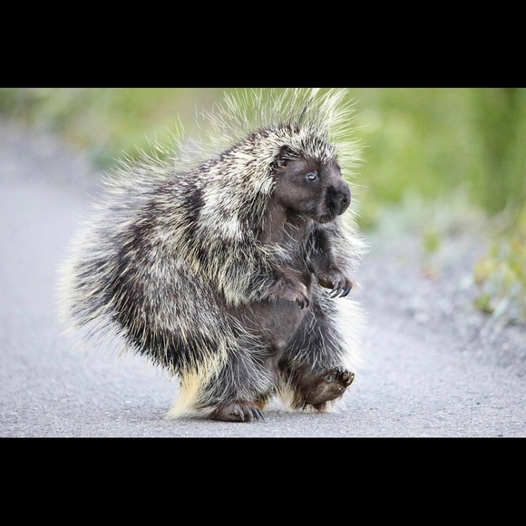 Meet your Posher, Jenn - Picture 1 of 1